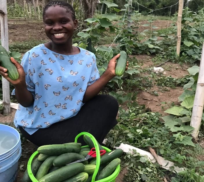 WELP Cucumber Harvest