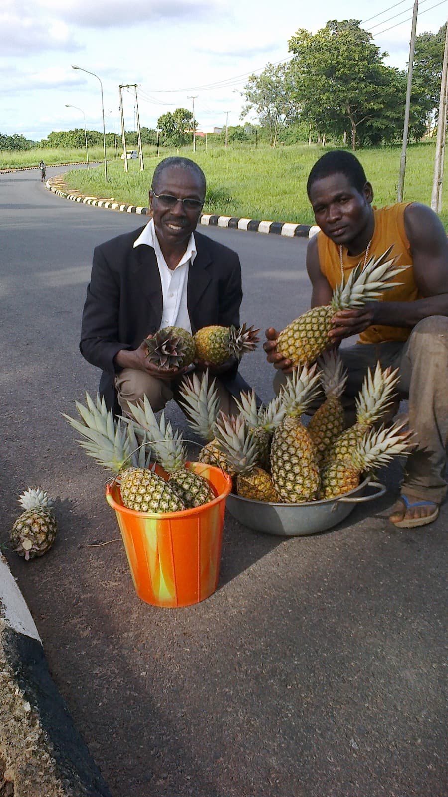 Organic produce from OAPTIN partner institutions
