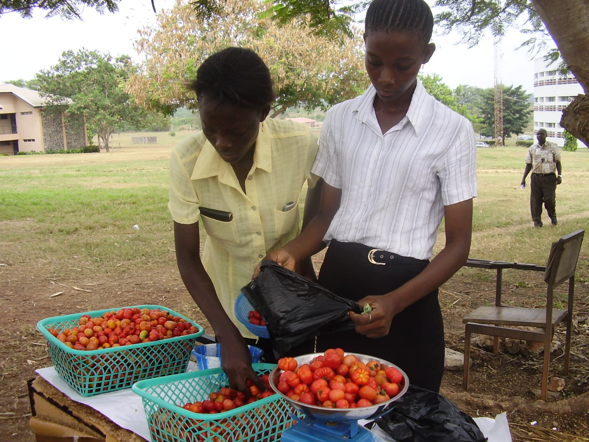 Students Weighing Organic Produce
